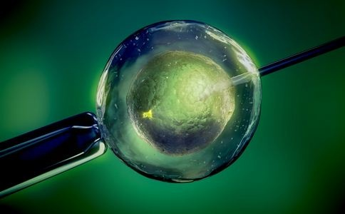 云南省捐卵代孕哪家好