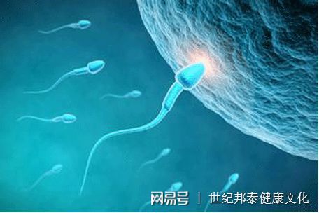 乌克兰试管助孕