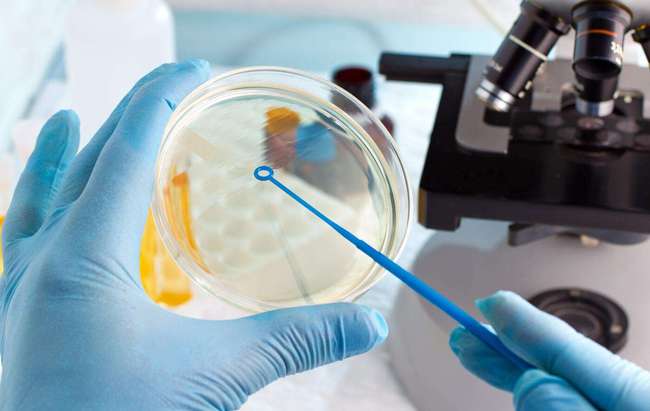 乌克兰试管助孕