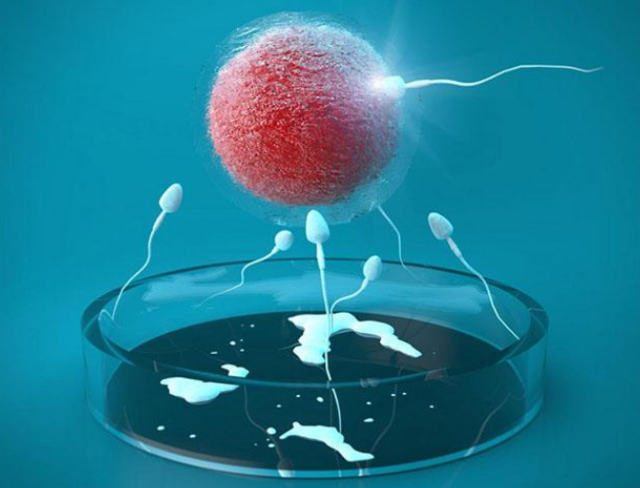 云南三代试管生男孩