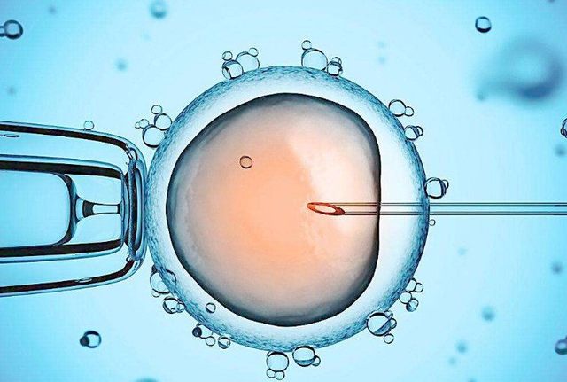 乌克兰供卵合法吗供卵