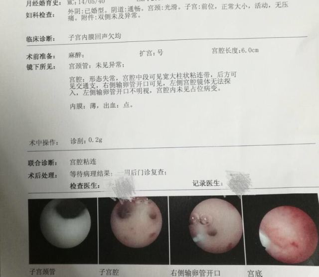 亲子鉴定收费多少